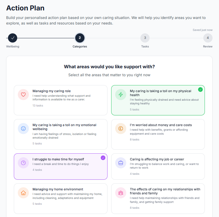 The action plan step where a carer chooses the areas they want support with, each written in their own words.